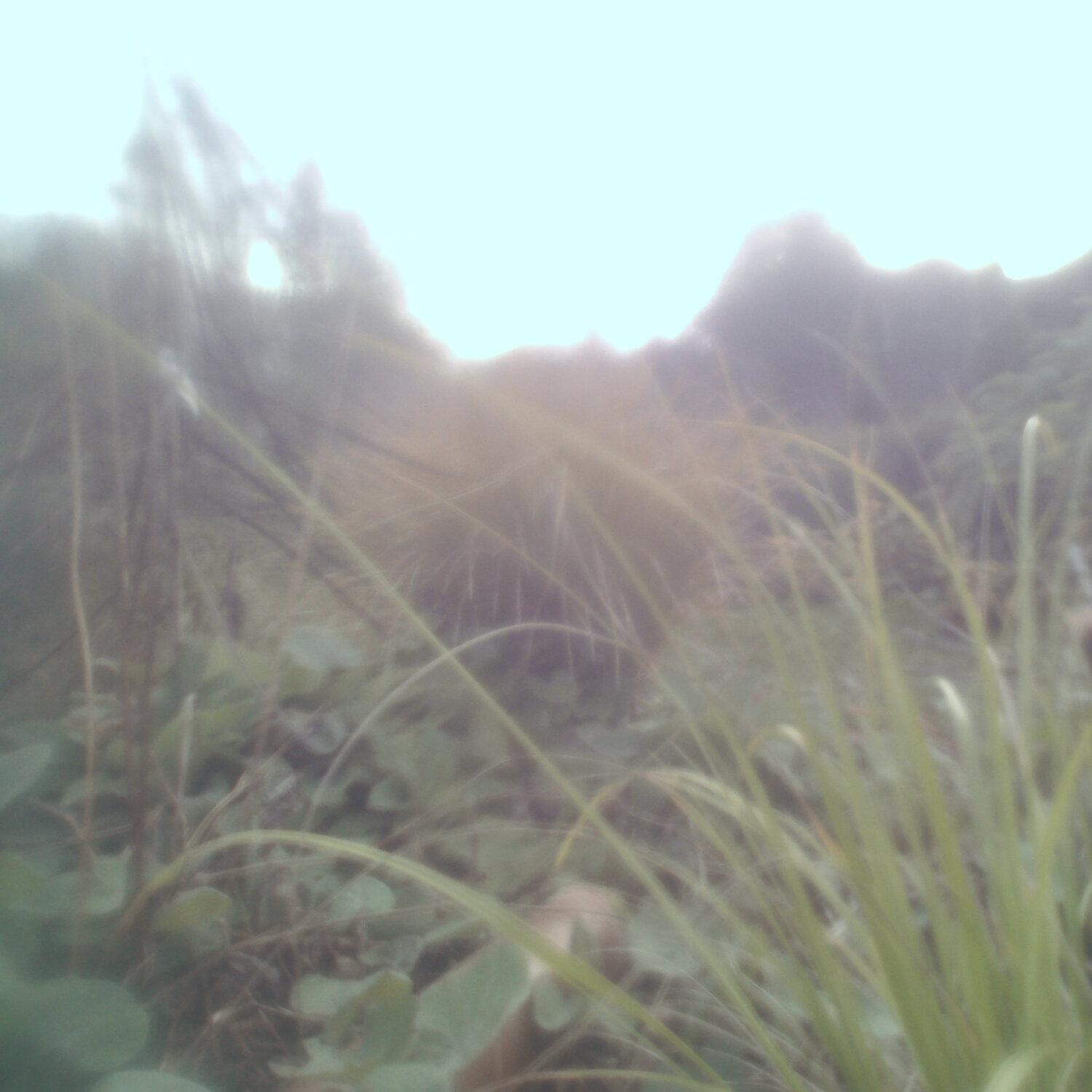 A photo captured from the webcam at the time the audio was recorded