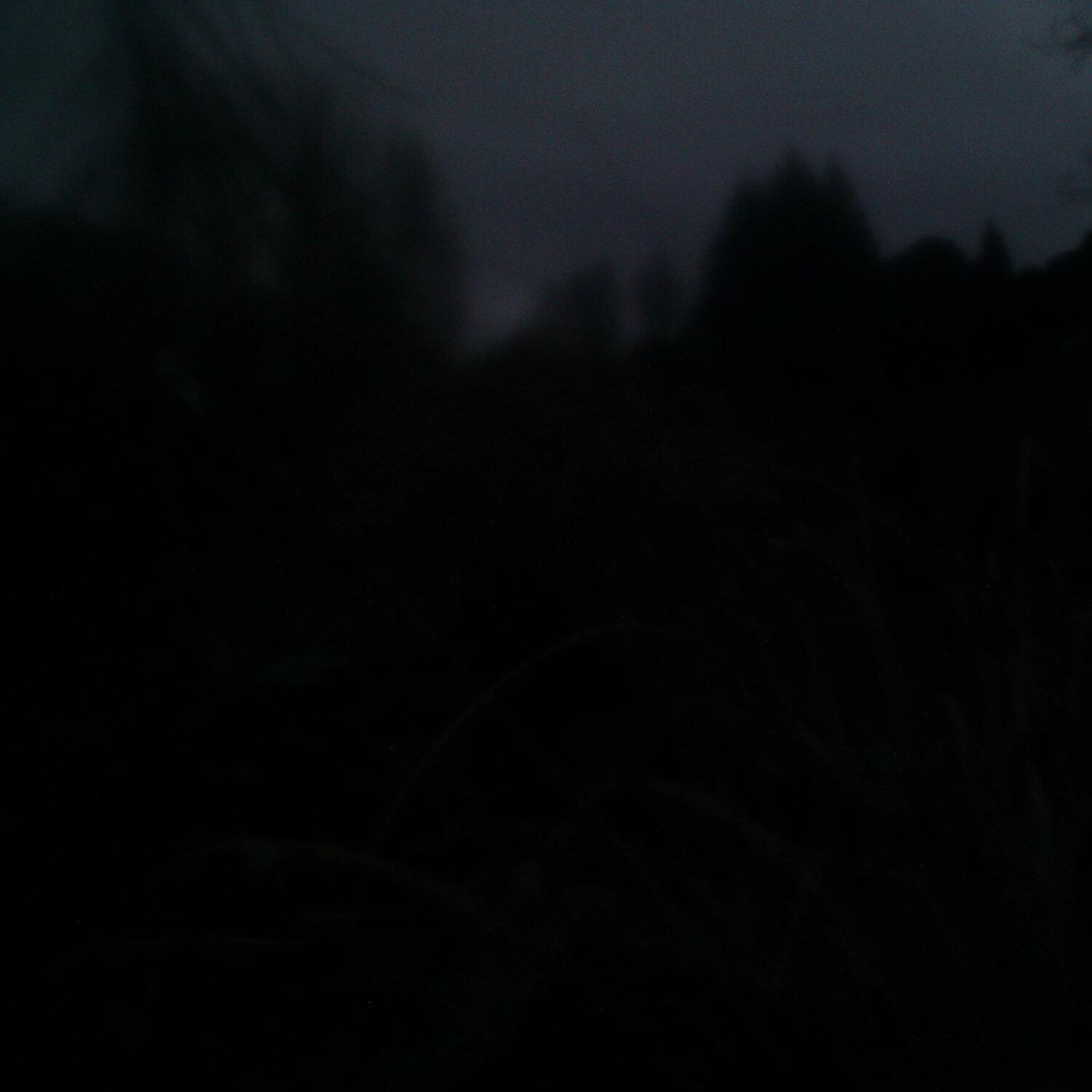A photo captured from the webcam at the time the audio was recorded