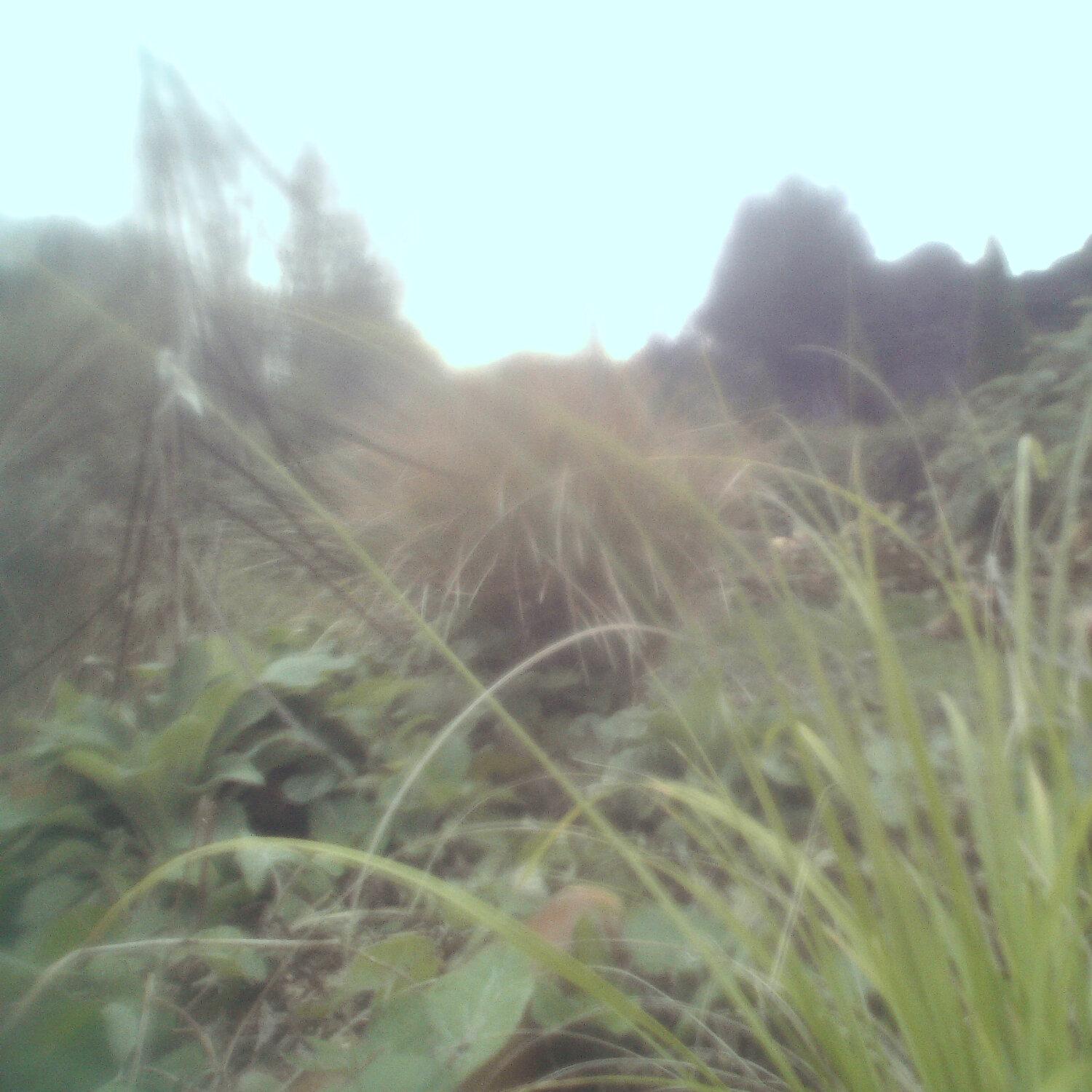 A photo captured from the webcam at the time the audio was recorded