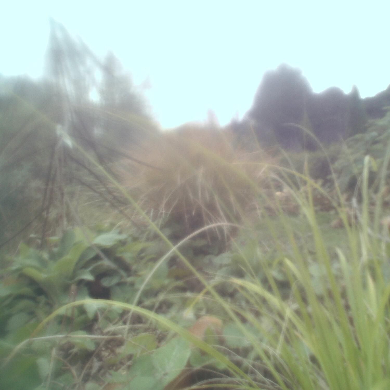A photo captured from the webcam at the time the audio was recorded