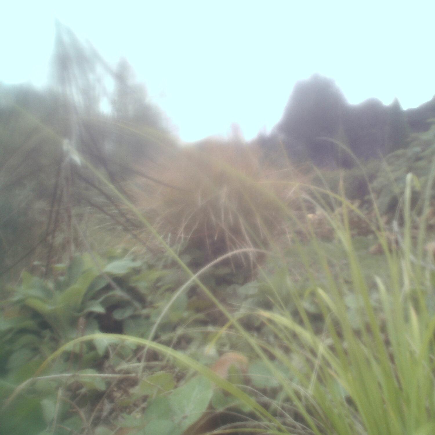 A photo captured from the webcam at the time the audio was recorded