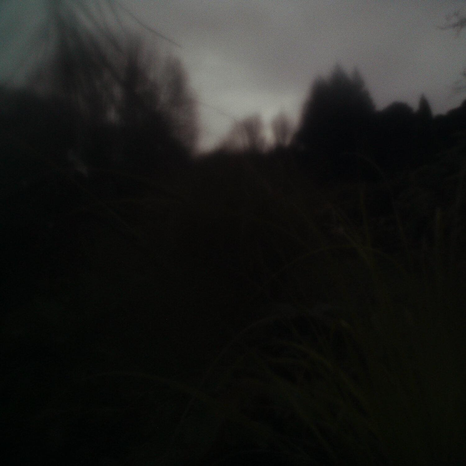 A photo captured from the webcam at the time the audio was recorded