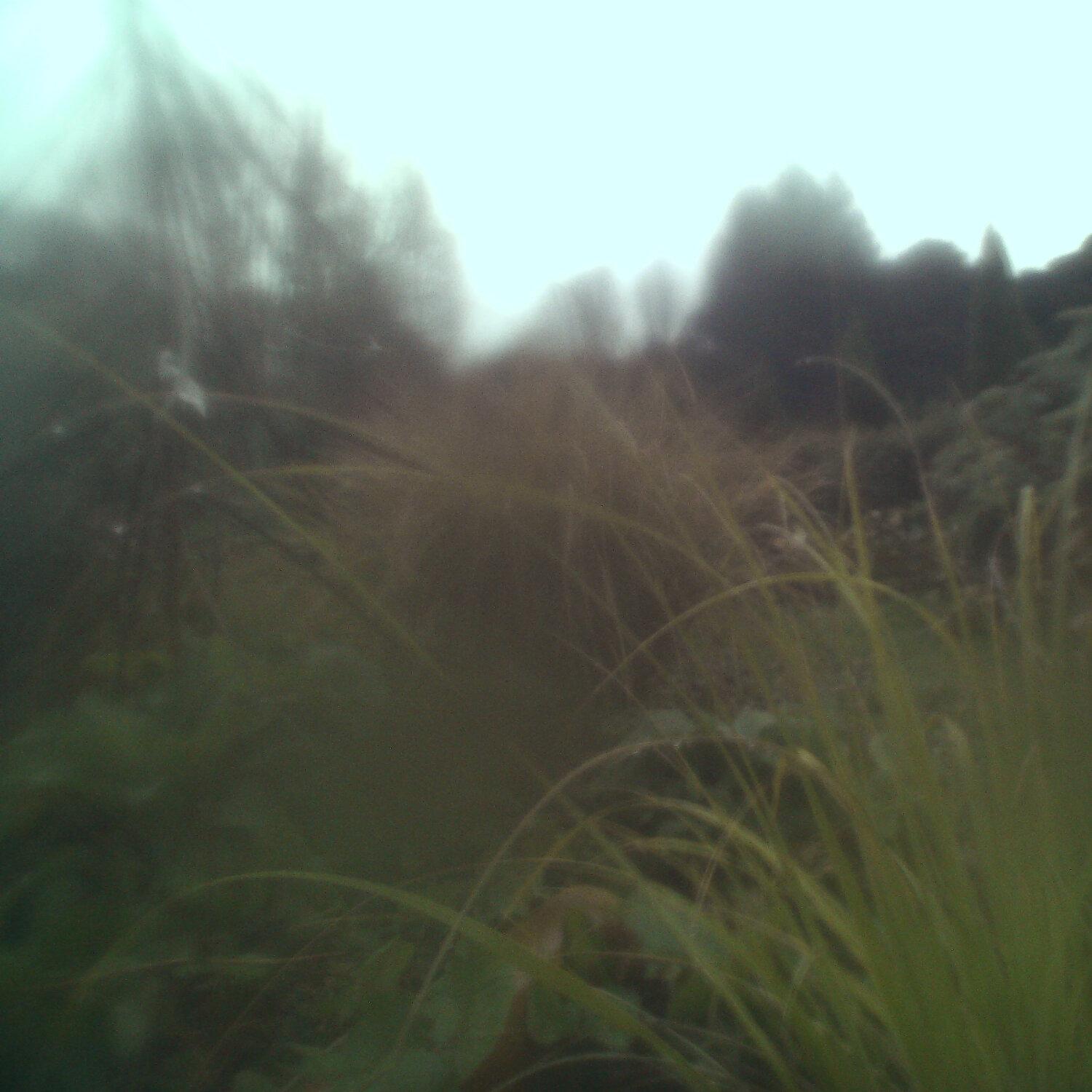 A photo captured from the webcam at the time the audio was recorded