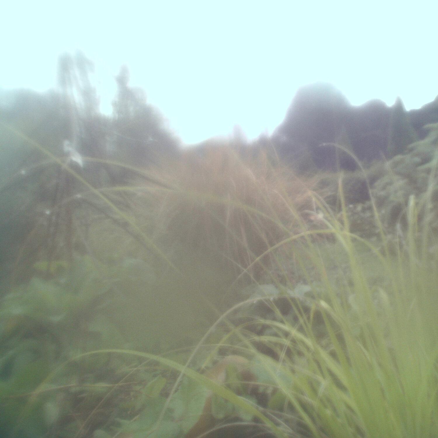 A photo captured from the webcam at the time the audio was recorded
