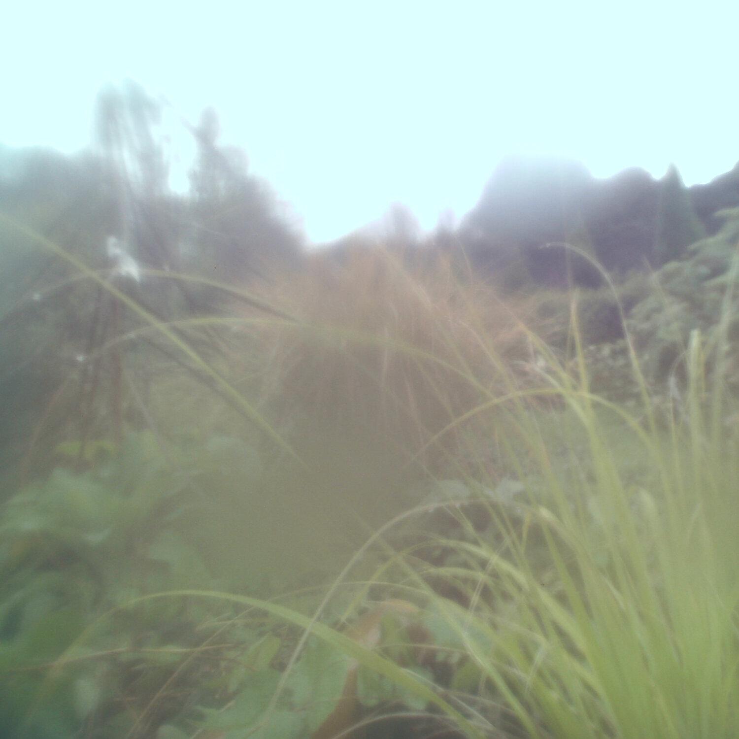 A photo captured from the webcam at the time the audio was recorded