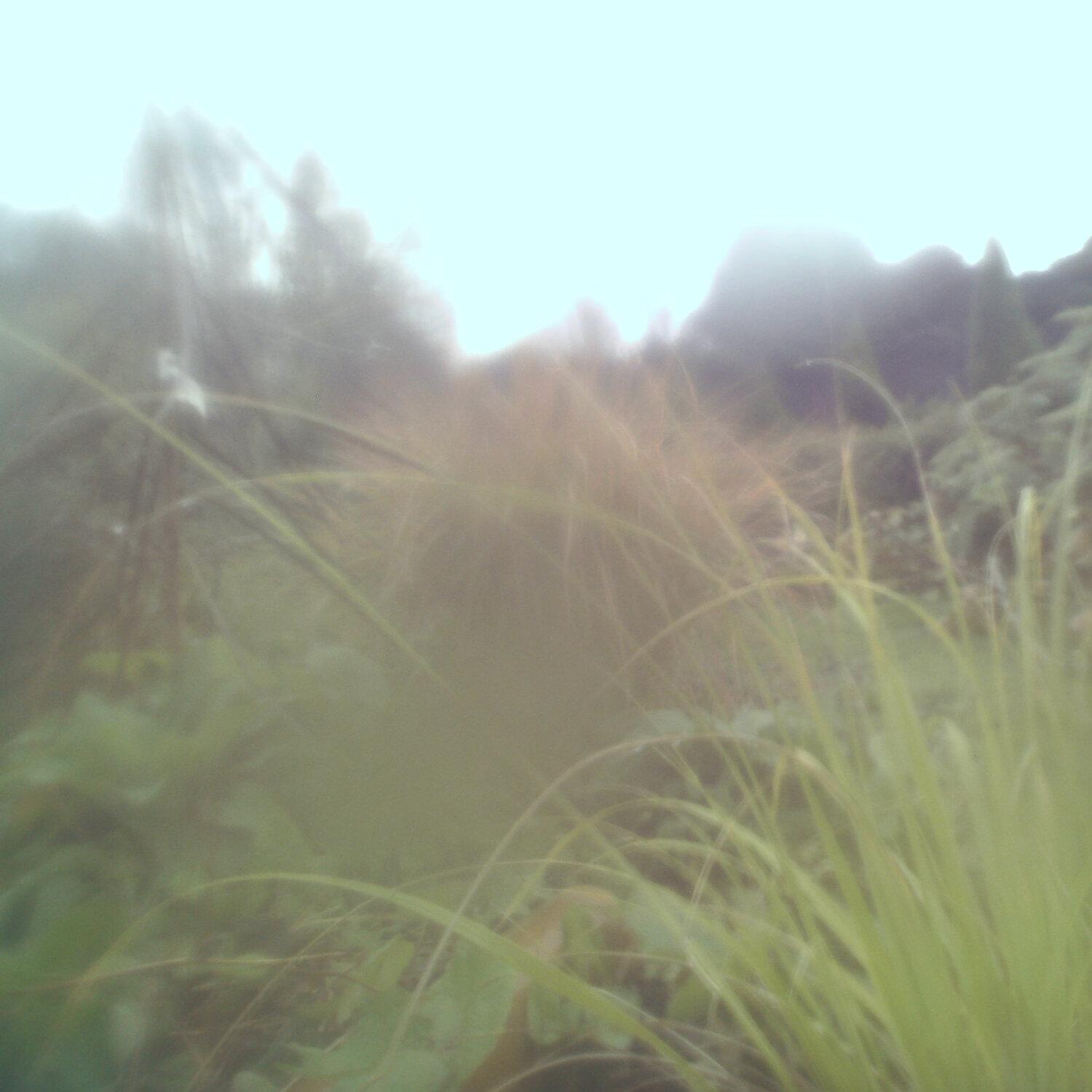 A photo captured from the webcam at the time the audio was recorded