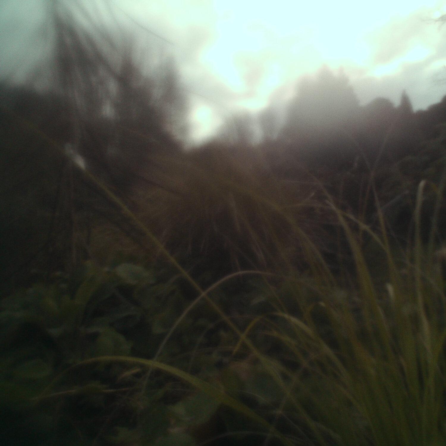 A photo captured from the webcam at the time the audio was recorded