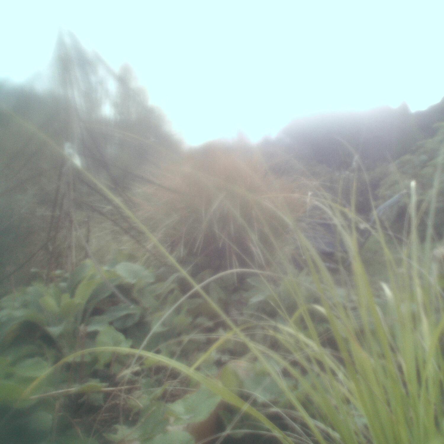 A photo captured from the webcam at the time the audio was recorded