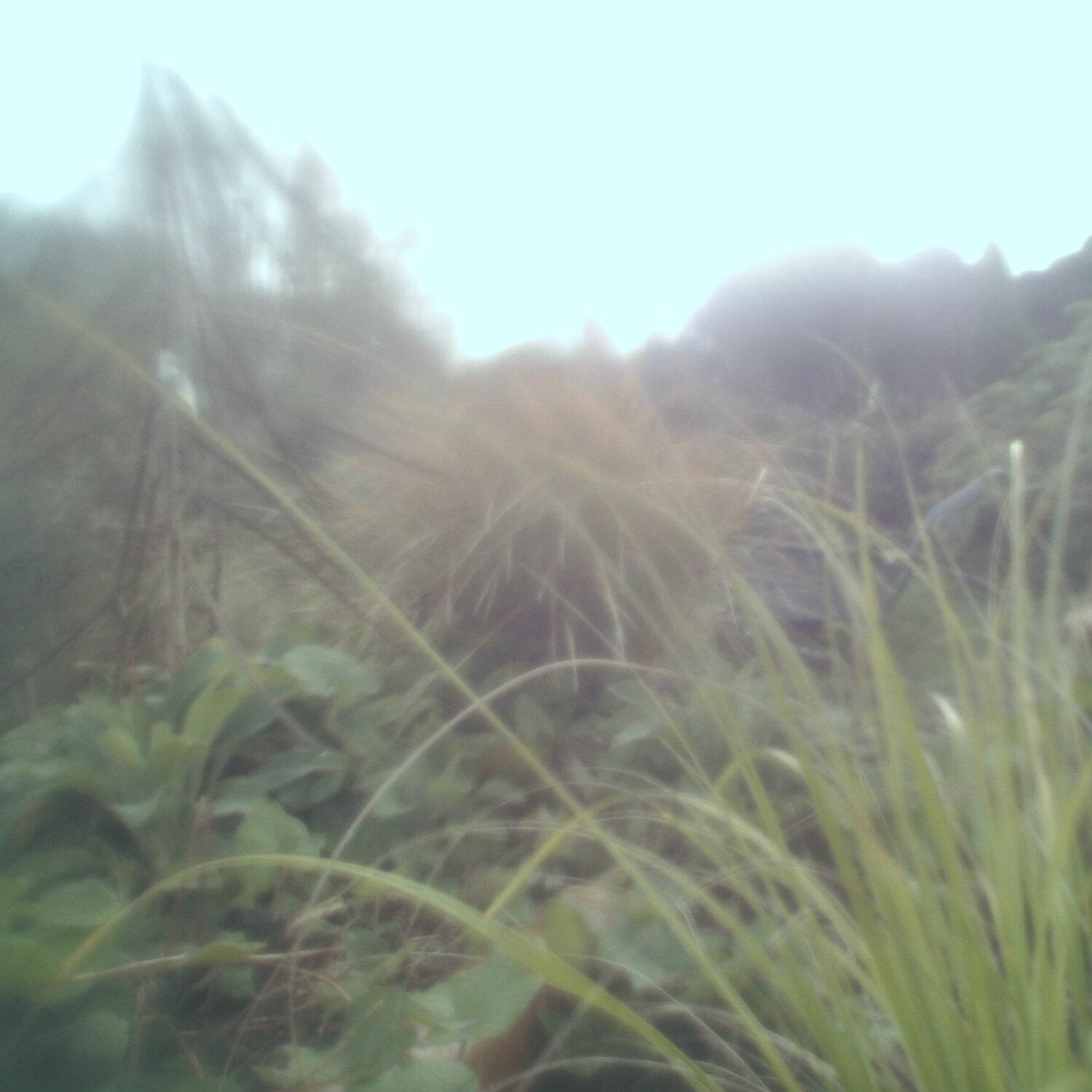 A photo captured from the webcam at the time the audio was recorded