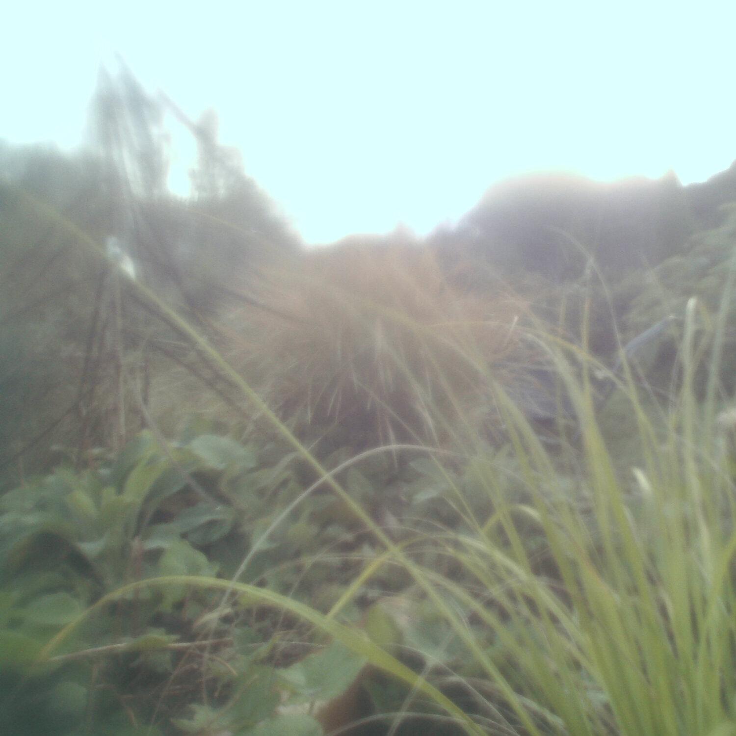 A photo captured from the webcam at the time the audio was recorded