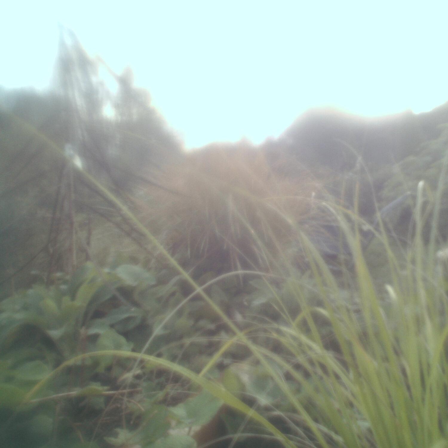 A photo captured from the webcam at the time the audio was recorded