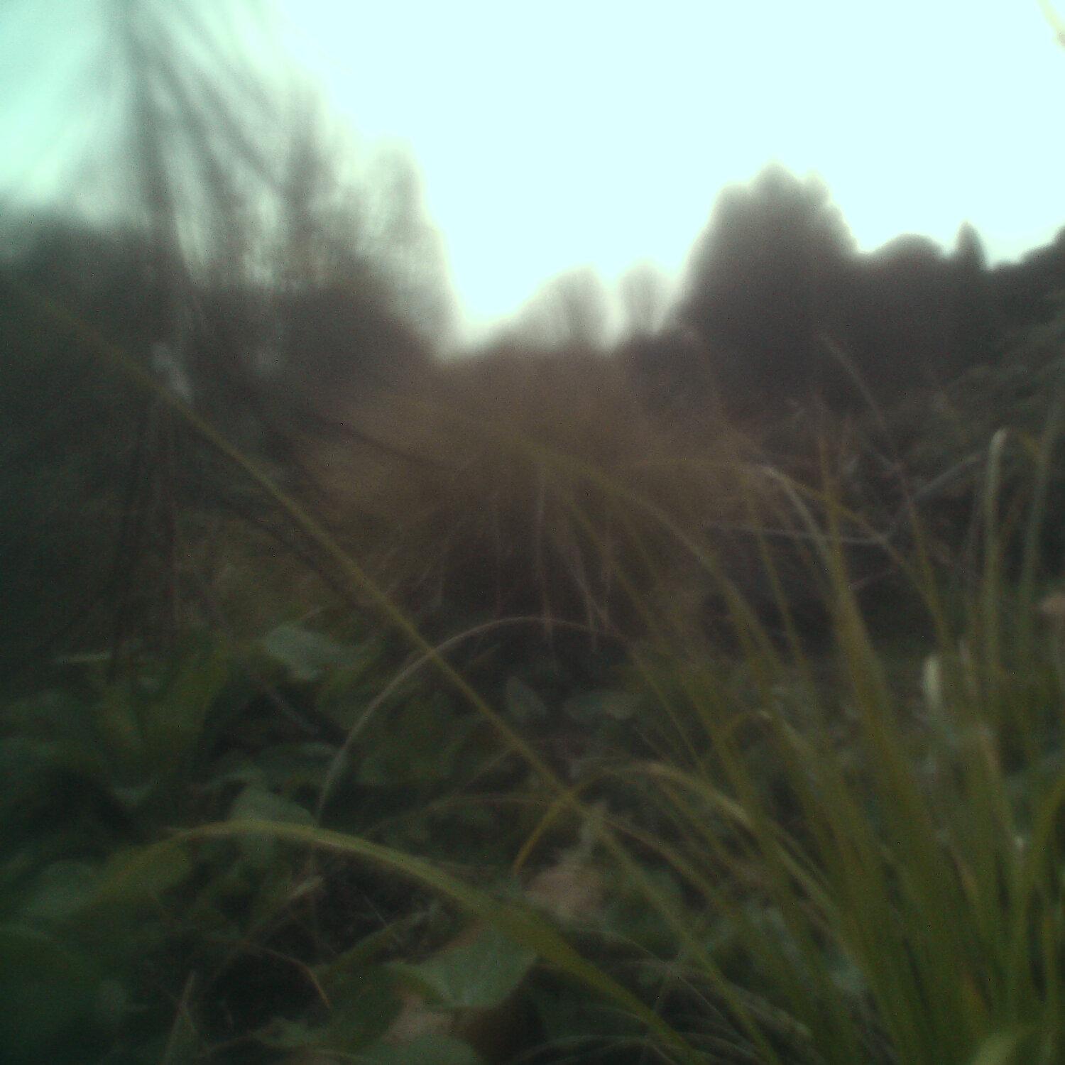 A photo captured from the webcam at the time the audio was recorded
