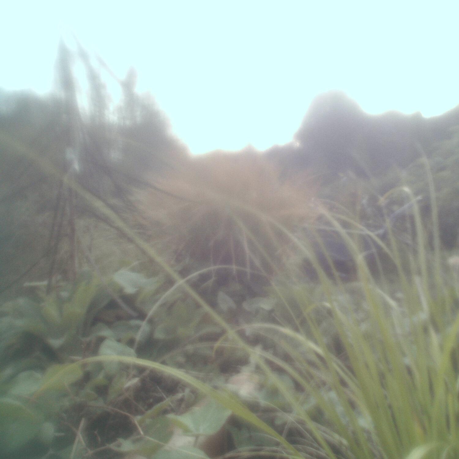 A photo captured from the webcam at the time the audio was recorded