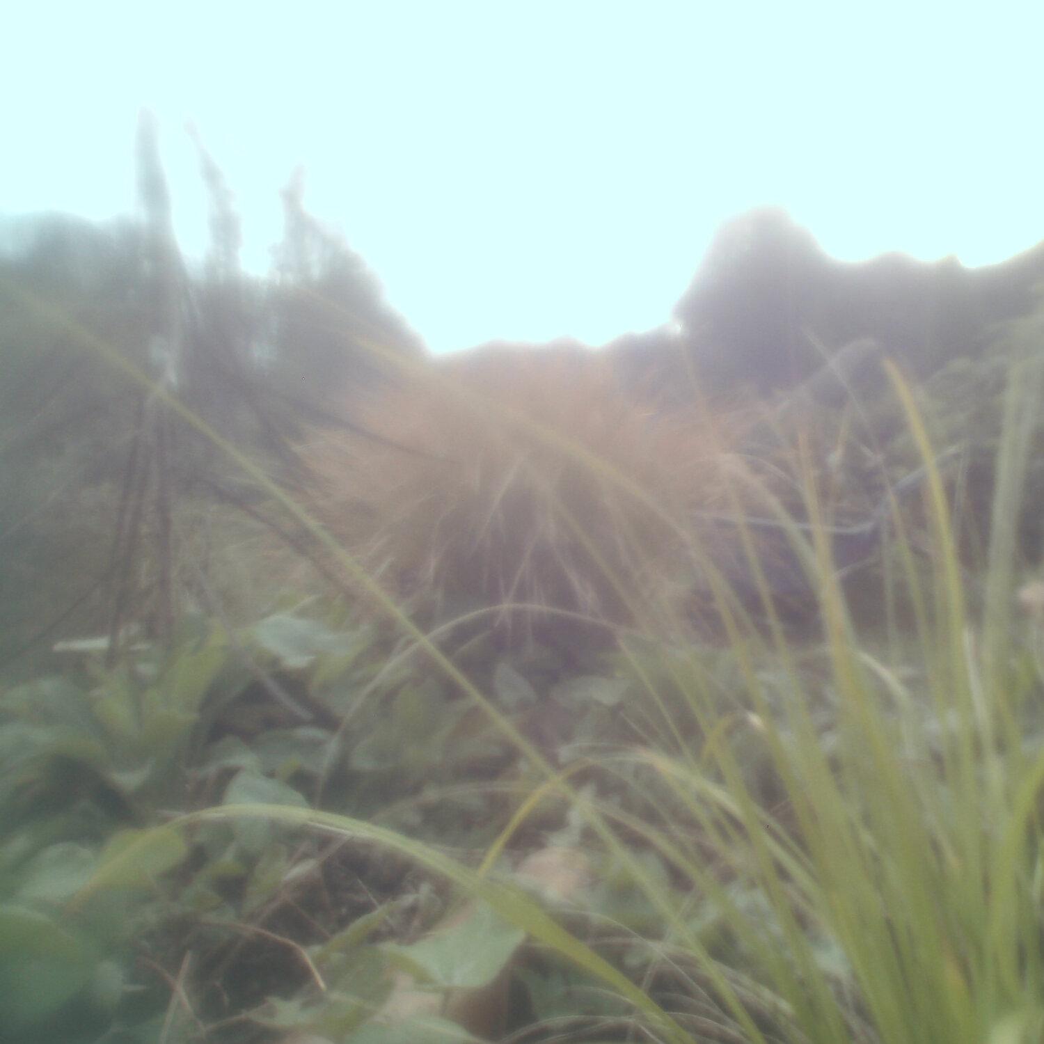 A photo captured from the webcam at the time the audio was recorded
