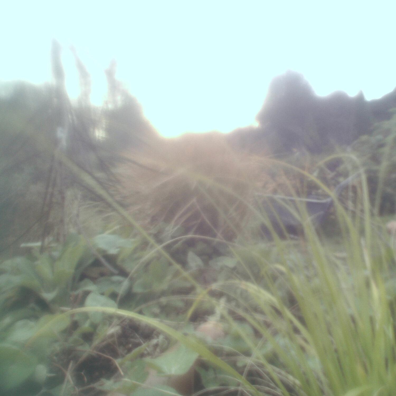 A photo captured from the webcam at the time the audio was recorded