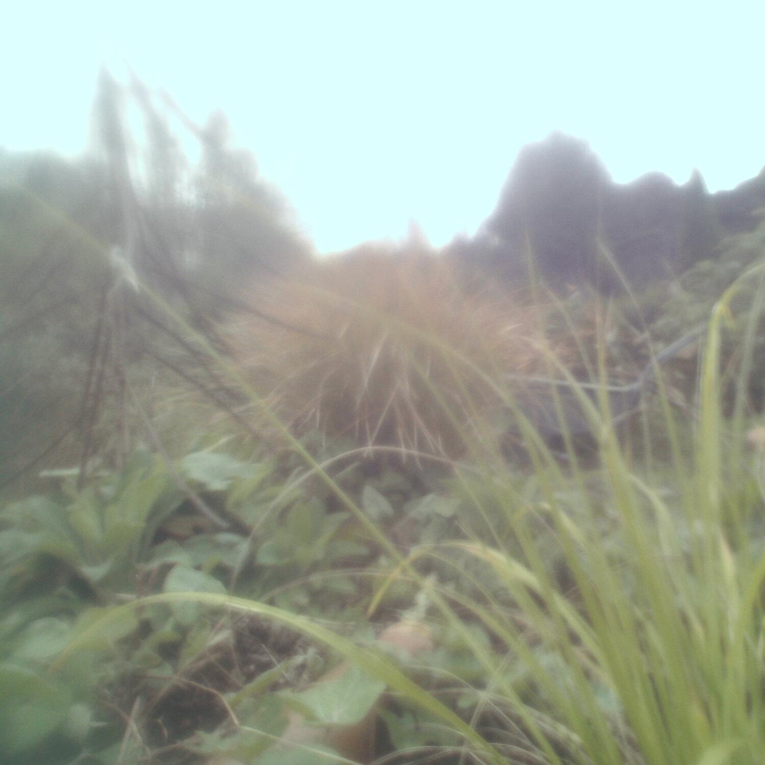 A photo captured from the webcam at the time the audio was recorded