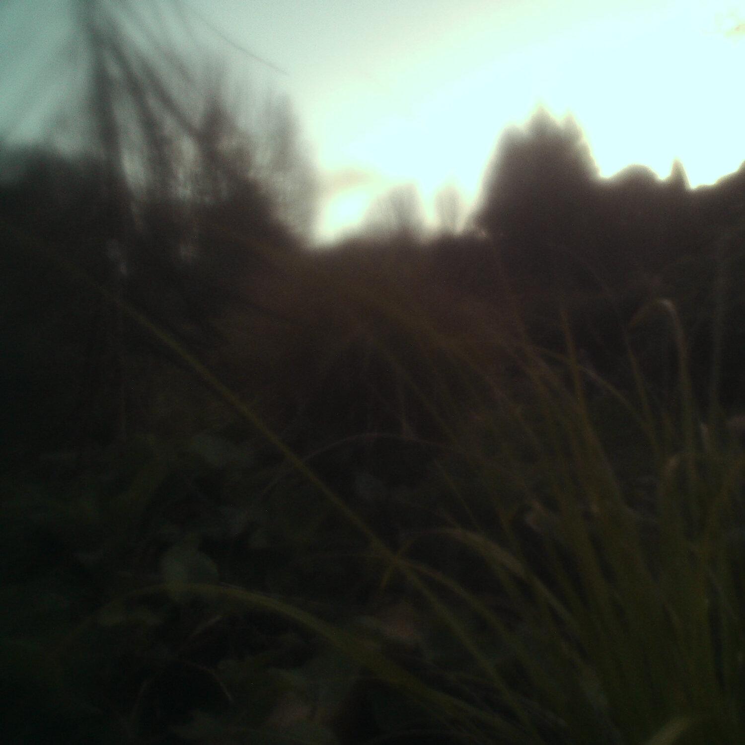 A photo captured from the webcam at the time the audio was recorded