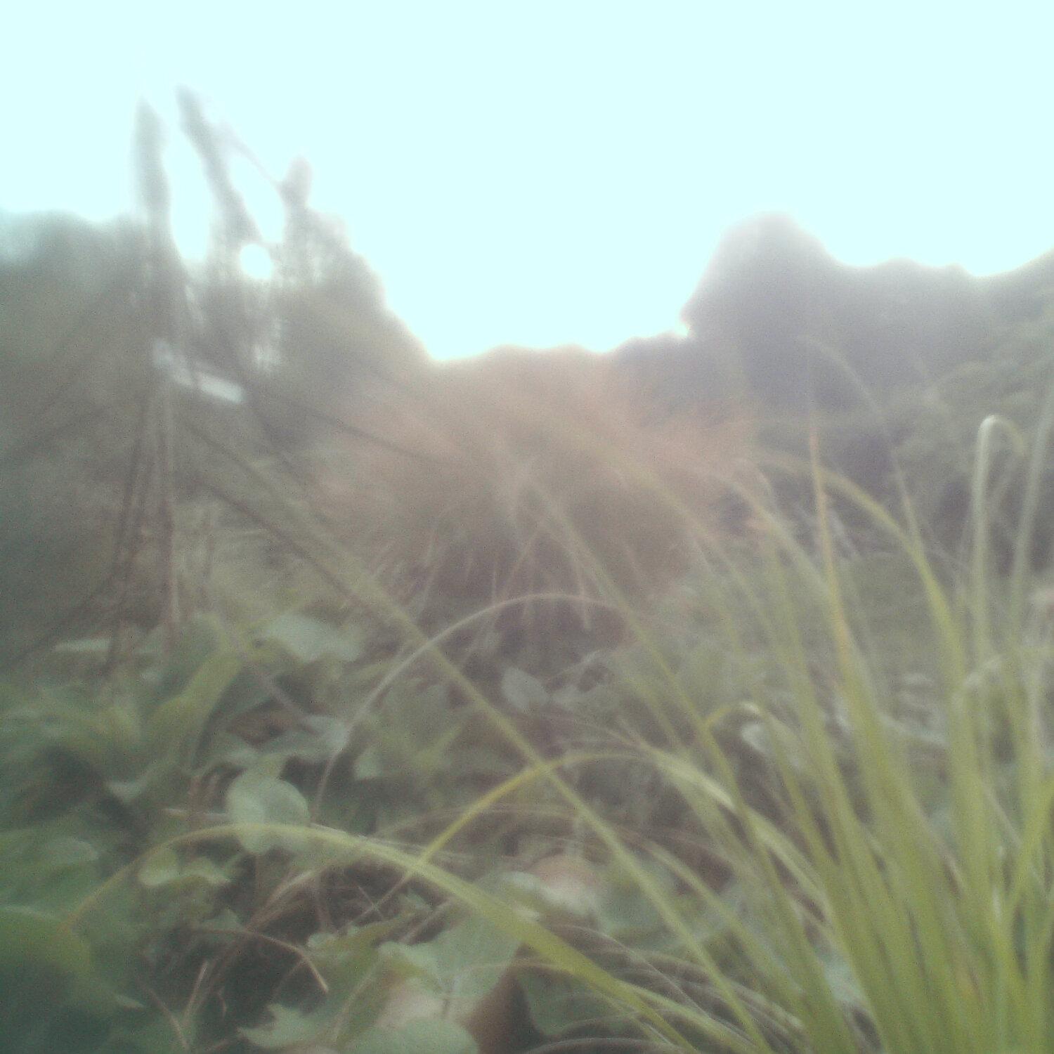 A photo captured from the webcam at the time the audio was recorded