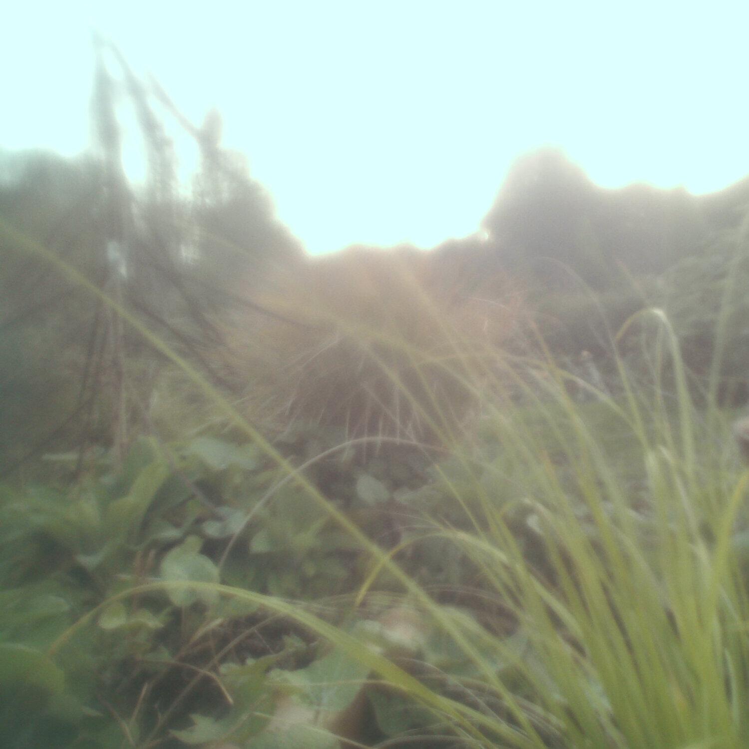A photo captured from the webcam at the time the audio was recorded