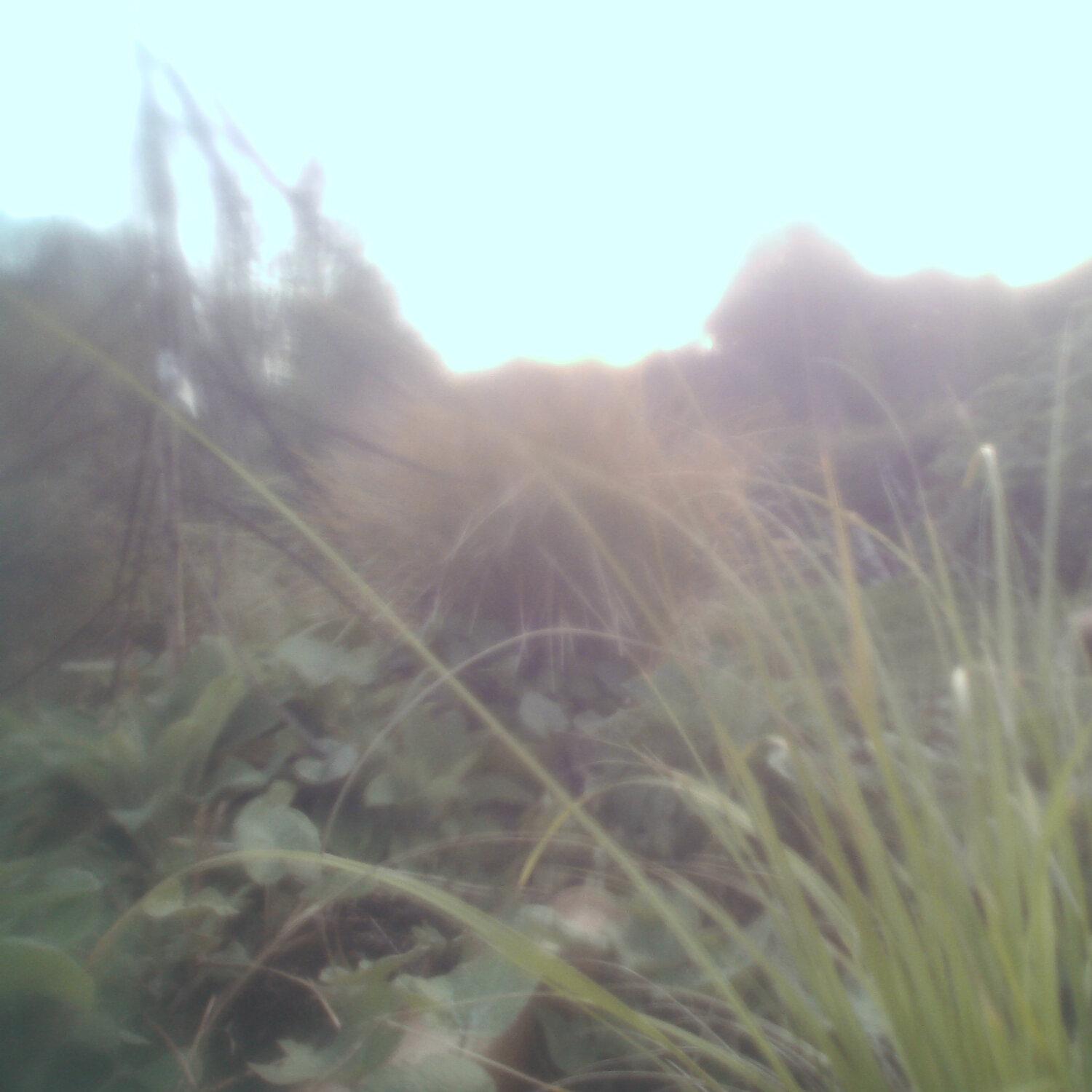 A photo captured from the webcam at the time the audio was recorded