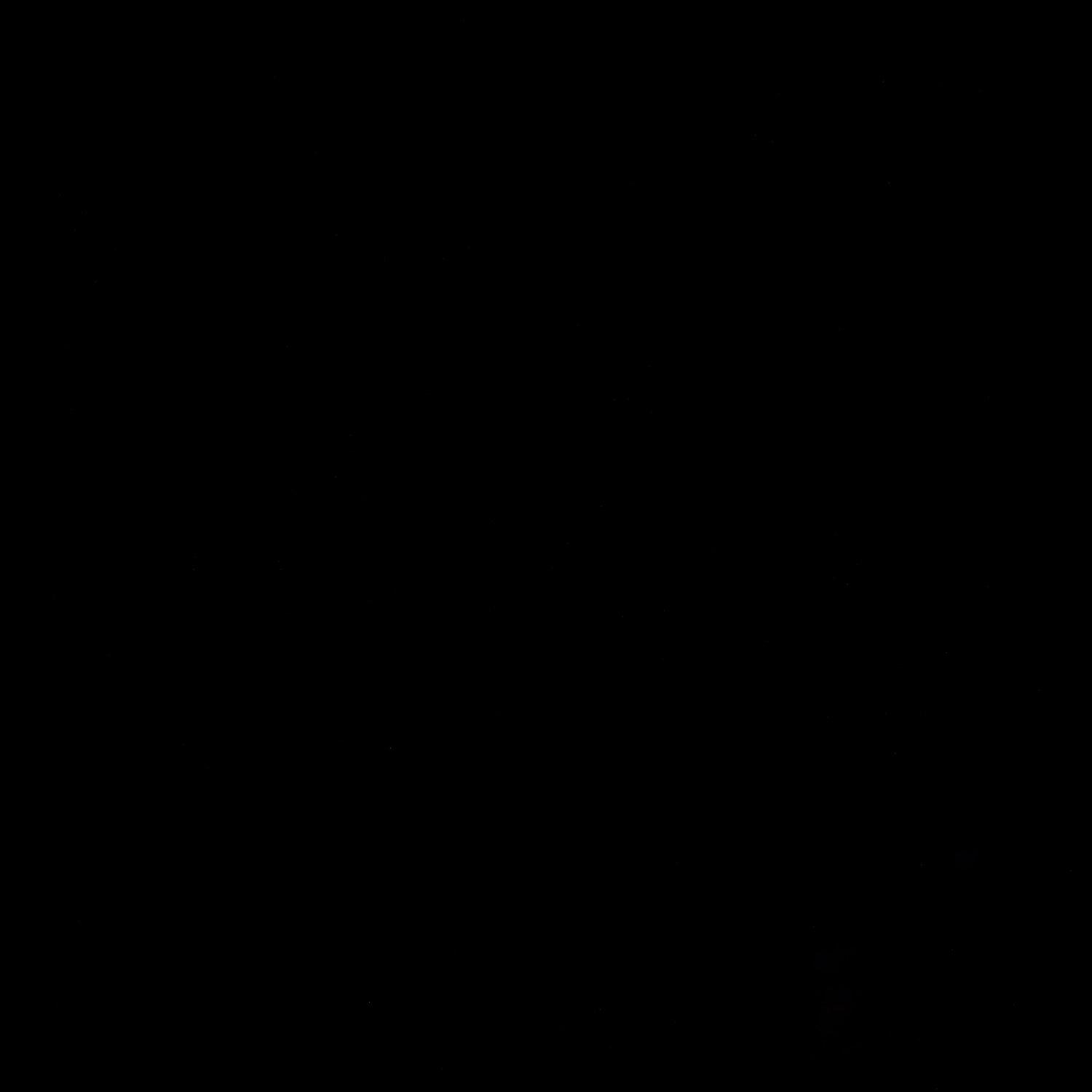 A photo captured from the webcam at the time the audio was recorded