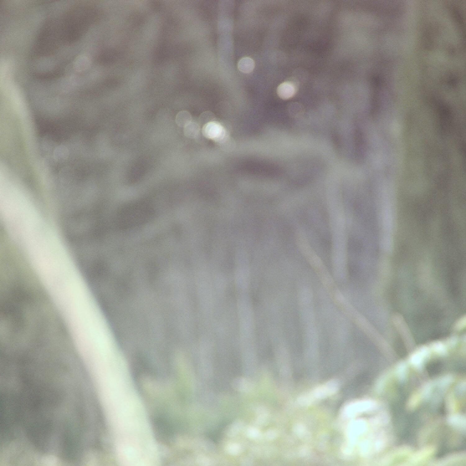 A photo captured from the webcam at the time the audio was recorded