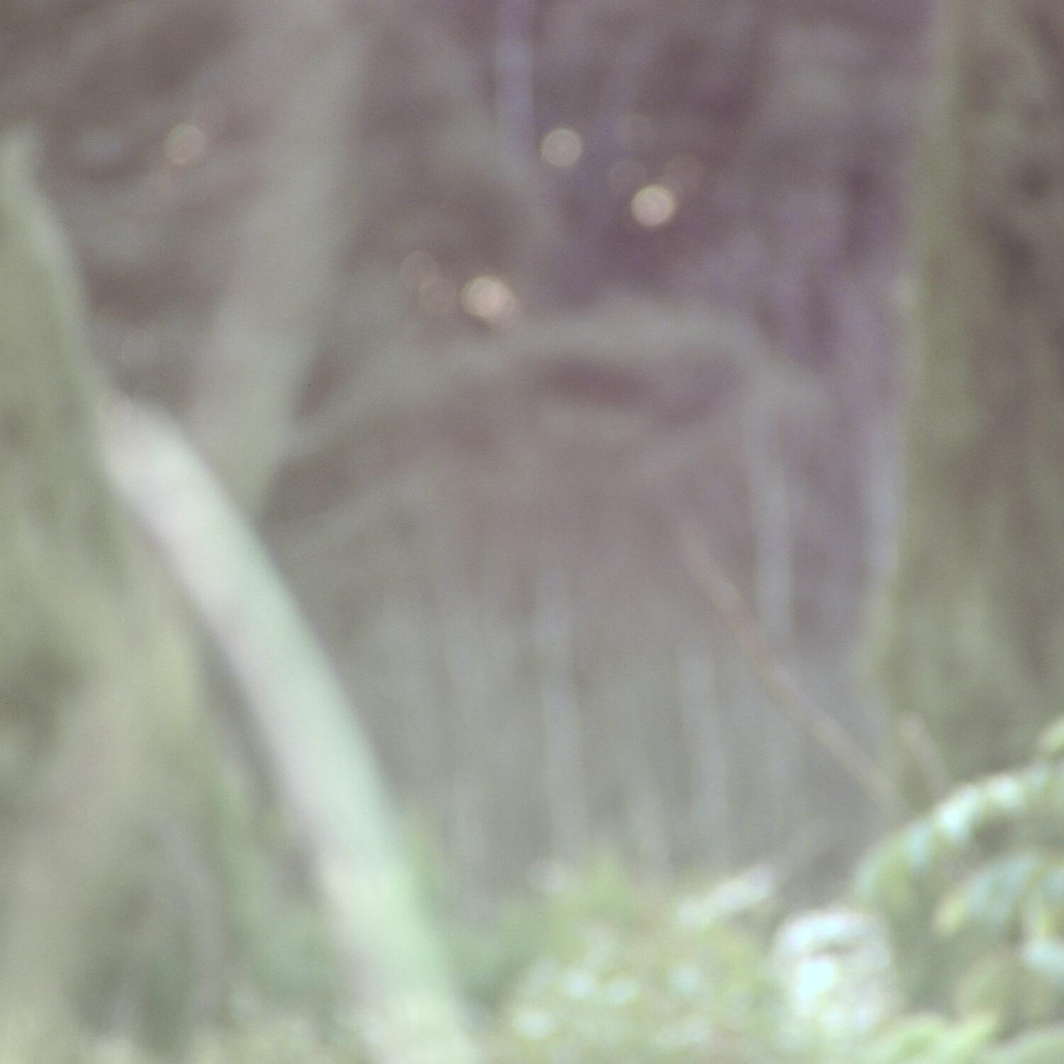 A photo captured from the webcam at the time the audio was recorded