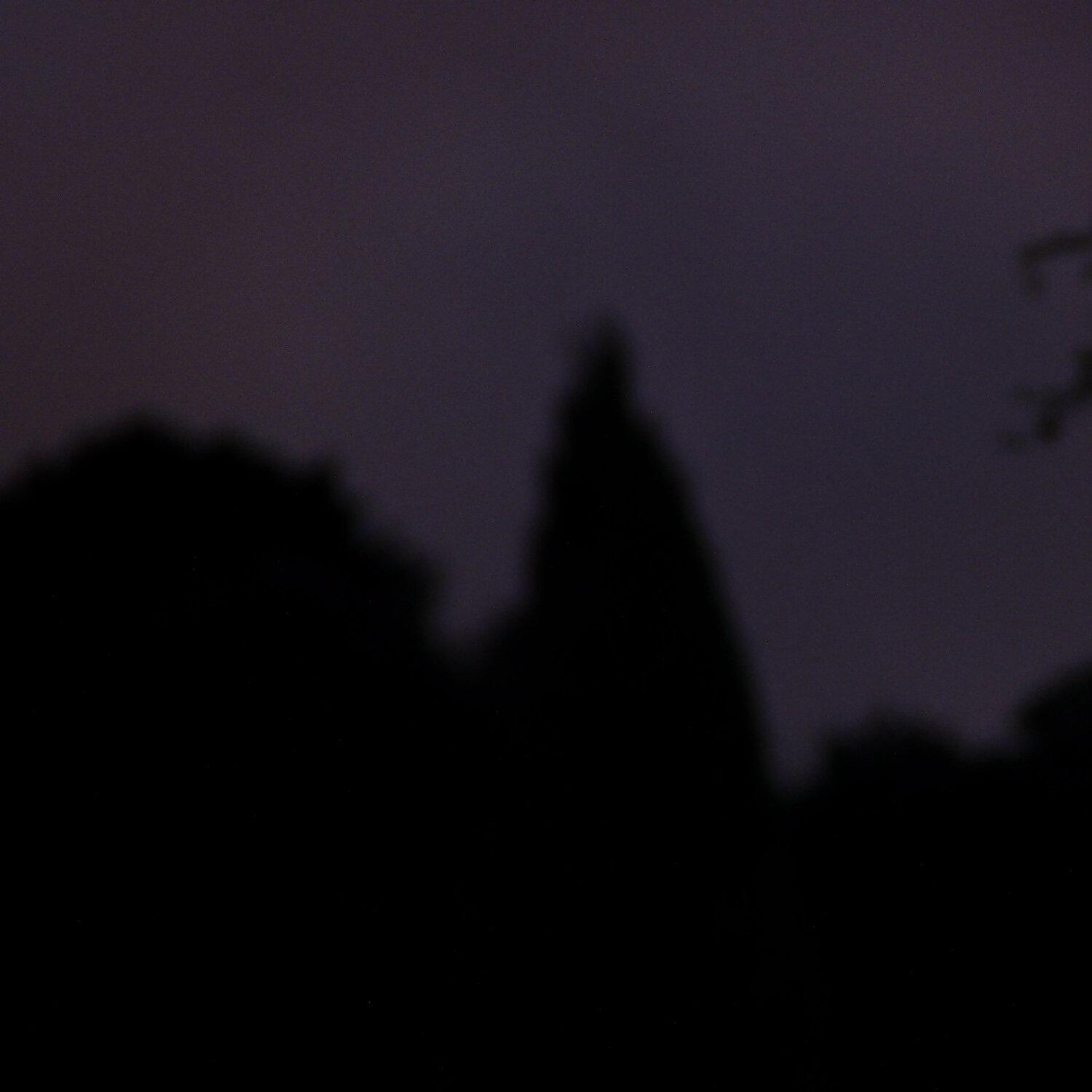 A photo captured from the webcam at the time the audio was recorded