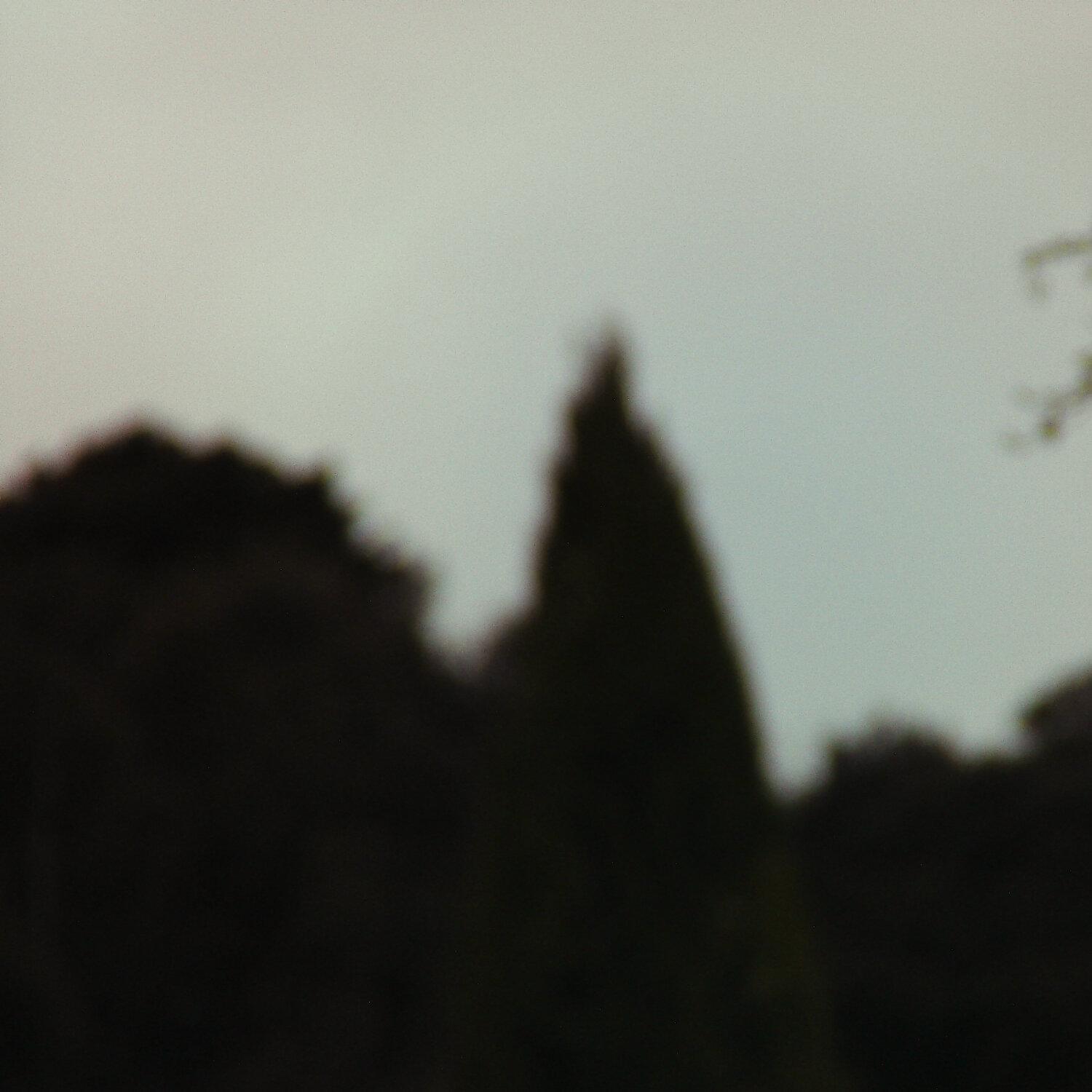 A photo captured from the webcam at the time the audio was recorded