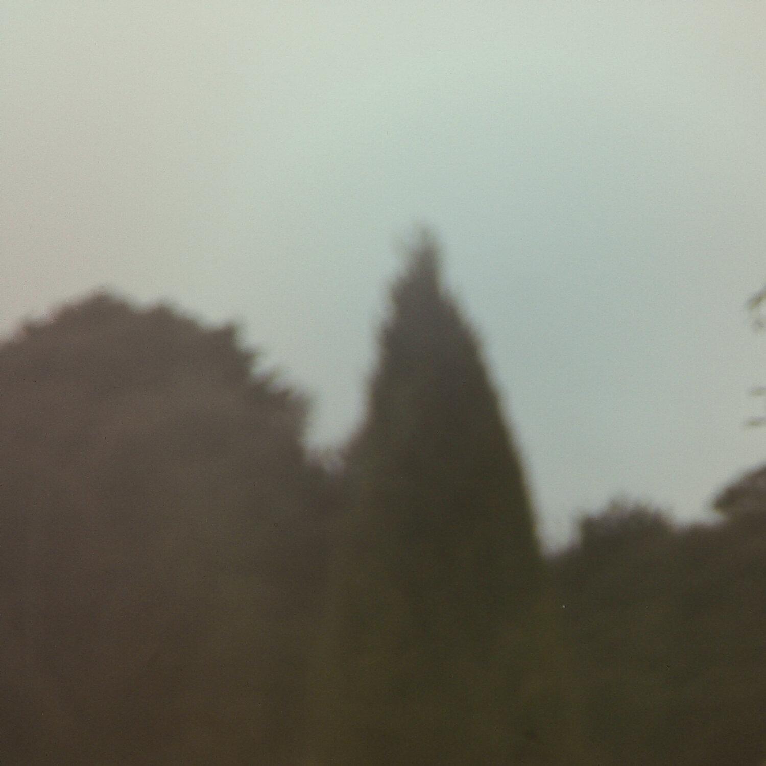 A photo captured from the webcam at the time the audio was recorded