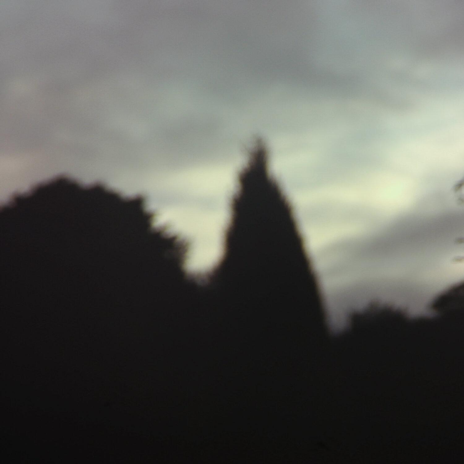 A photo captured from the webcam at the time the audio was recorded