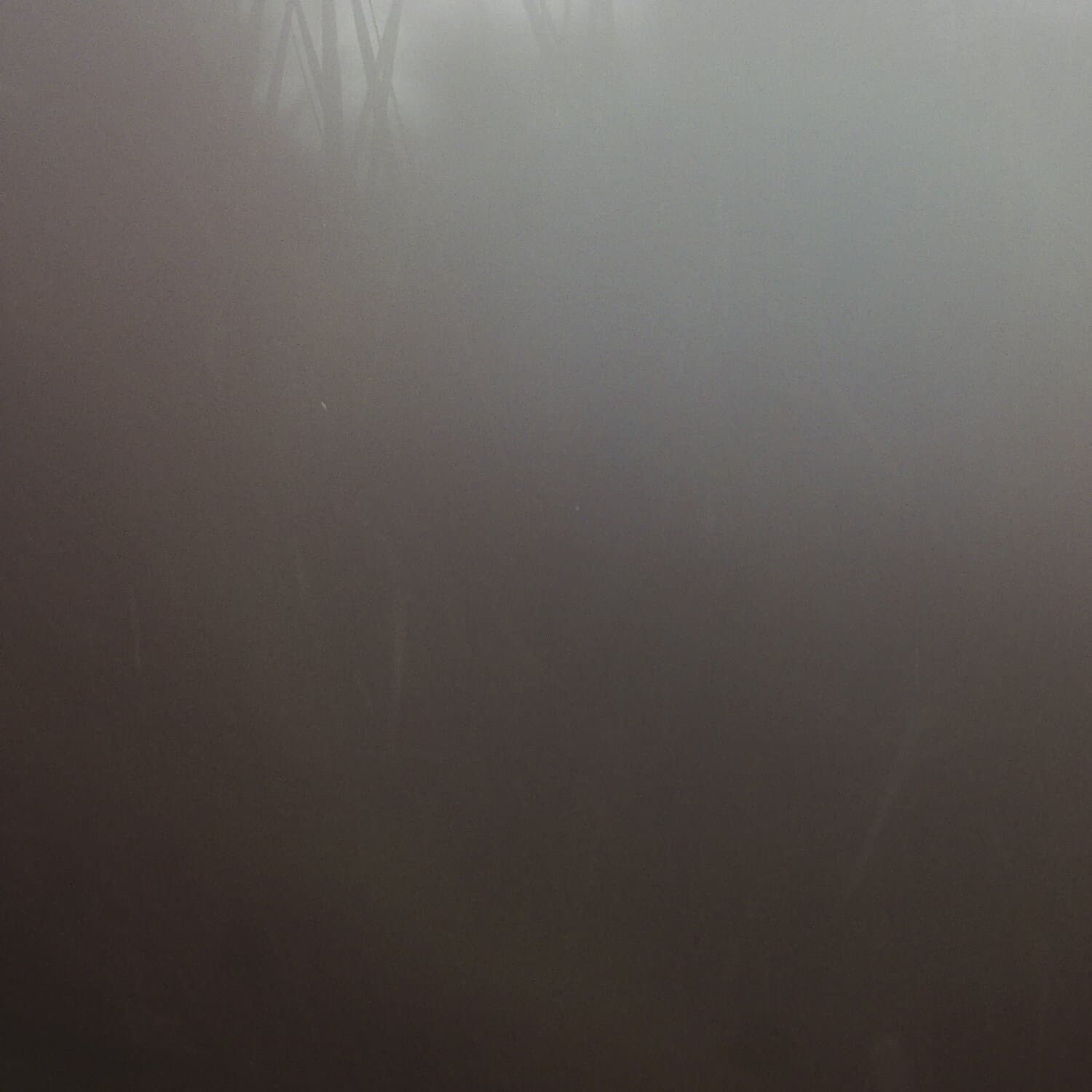 A photo captured from the webcam at the time the audio was recorded