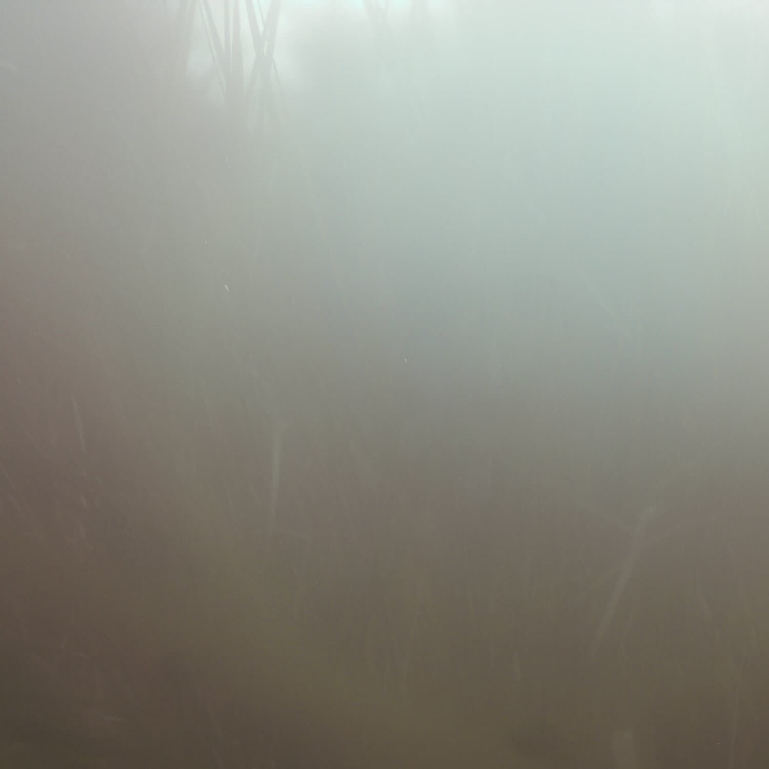 A photo captured from the webcam at the time the audio was recorded