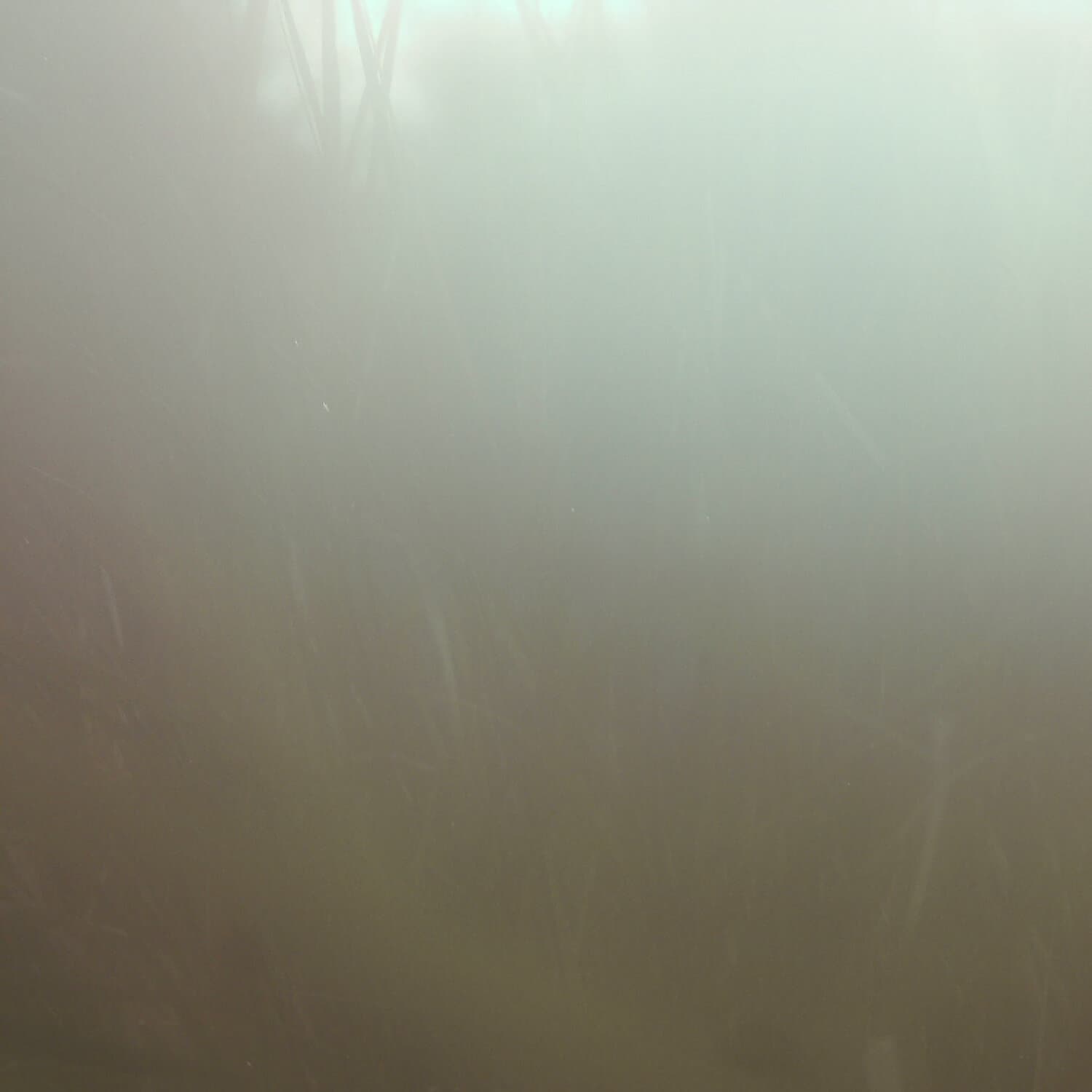 A photo captured from the webcam at the time the audio was recorded
