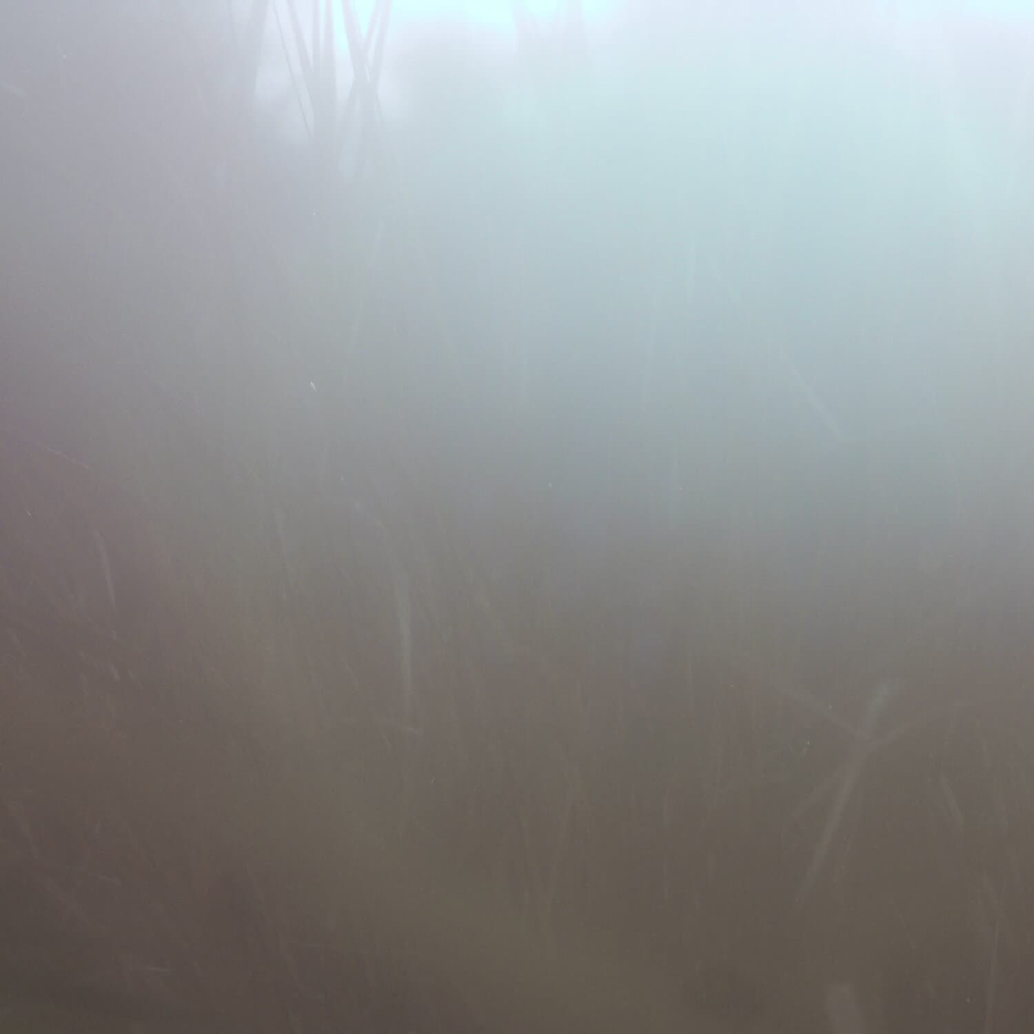 A photo captured from the webcam at the time the audio was recorded