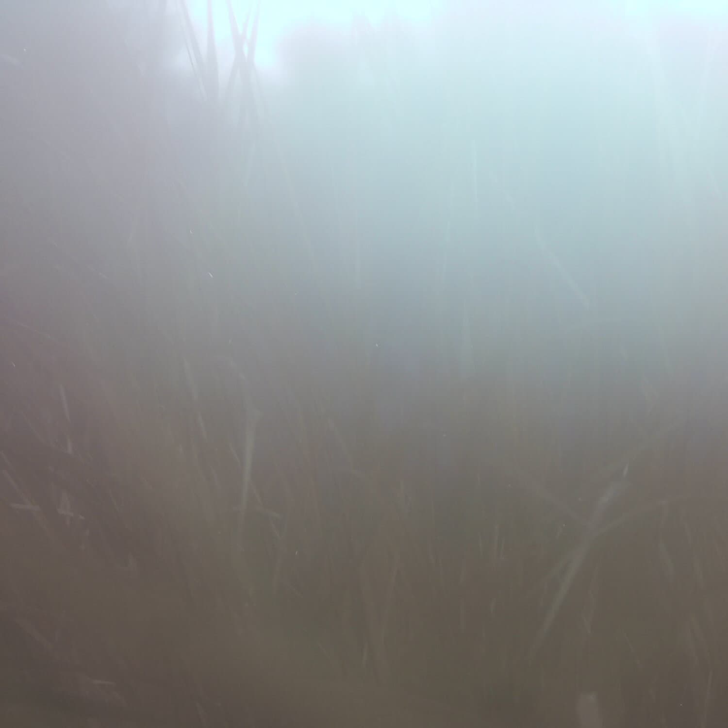 A photo captured from the webcam at the time the audio was recorded
