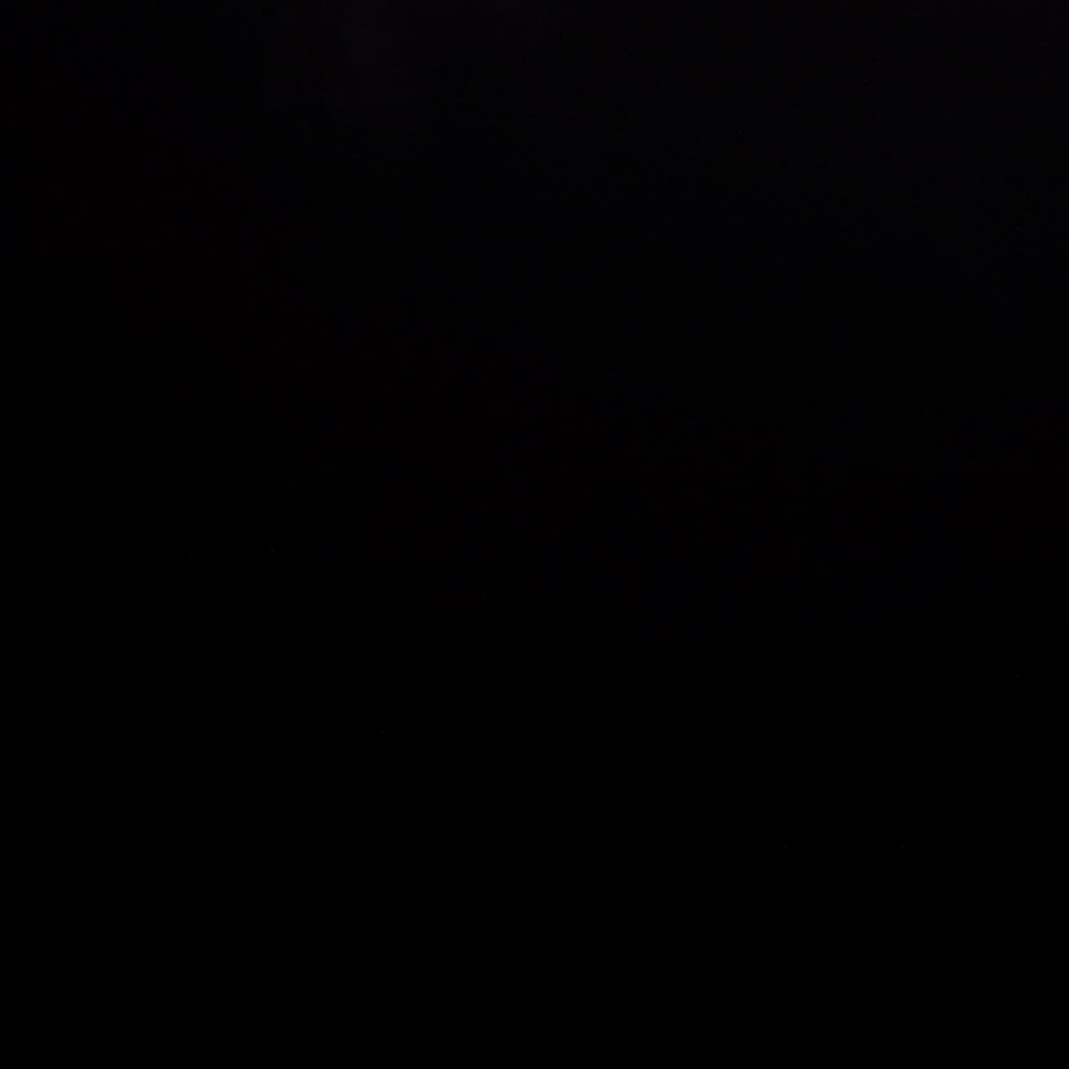 A photo captured from the webcam at the time the audio was recorded
