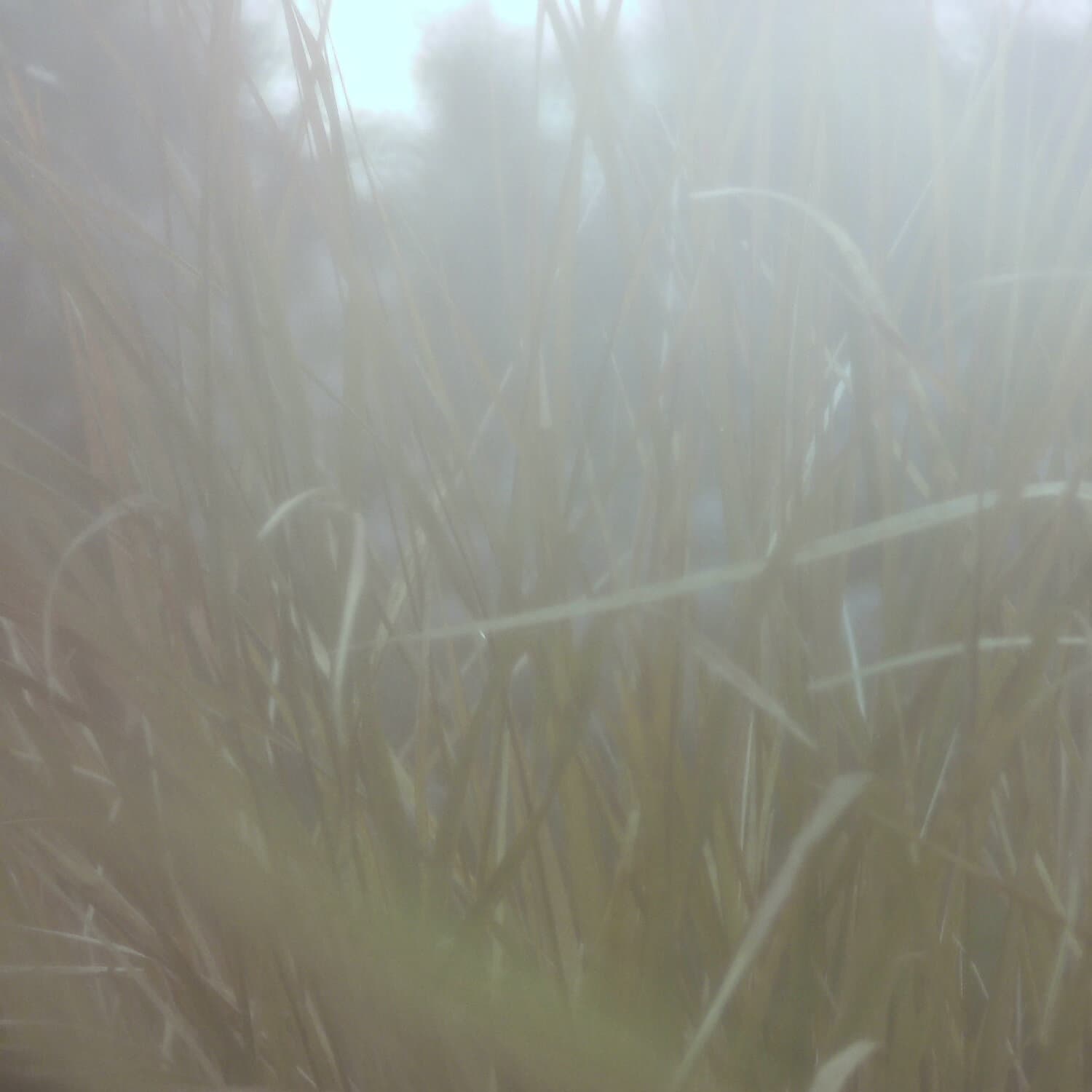 A photo captured from the webcam at the time the audio was recorded