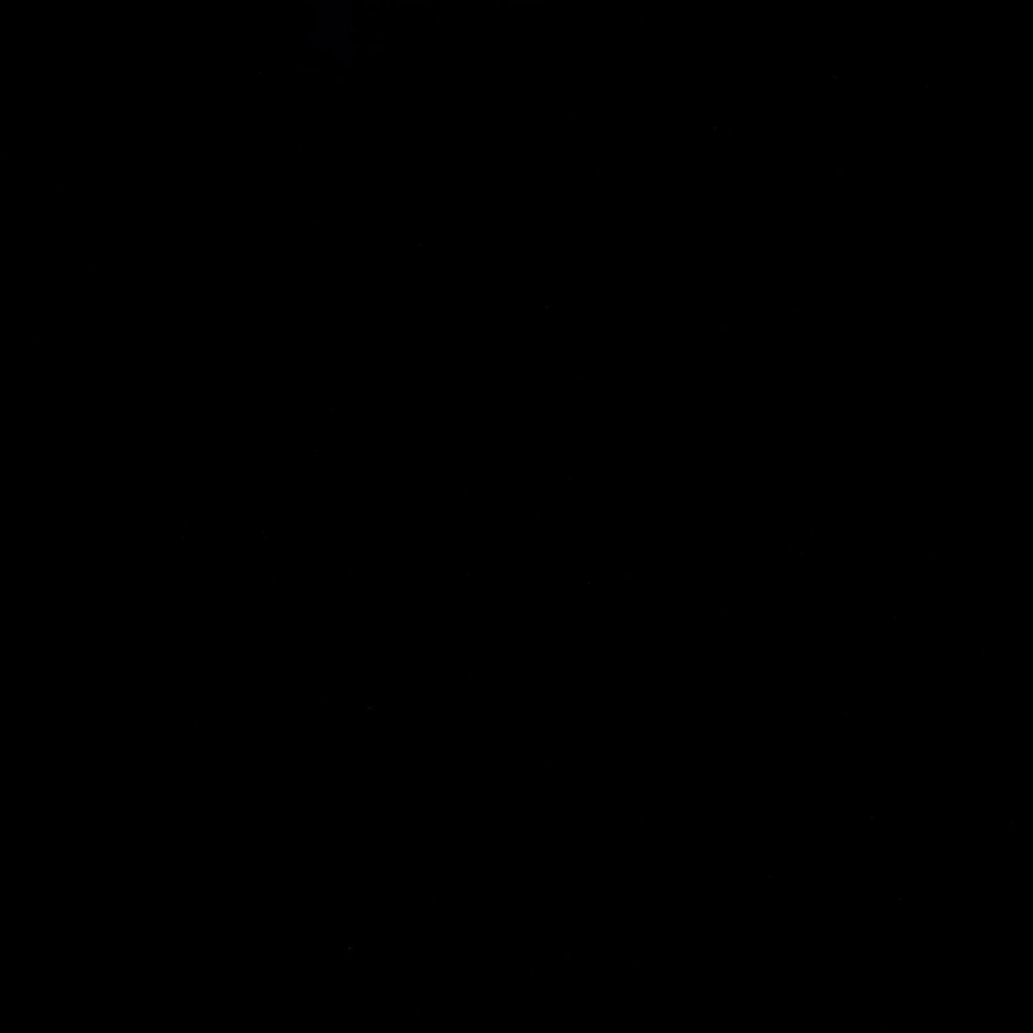 A photo captured from the webcam at the time the audio was recorded